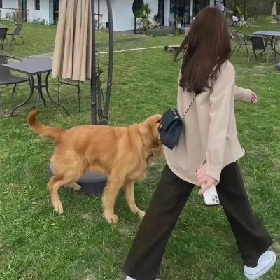 极限旋风
